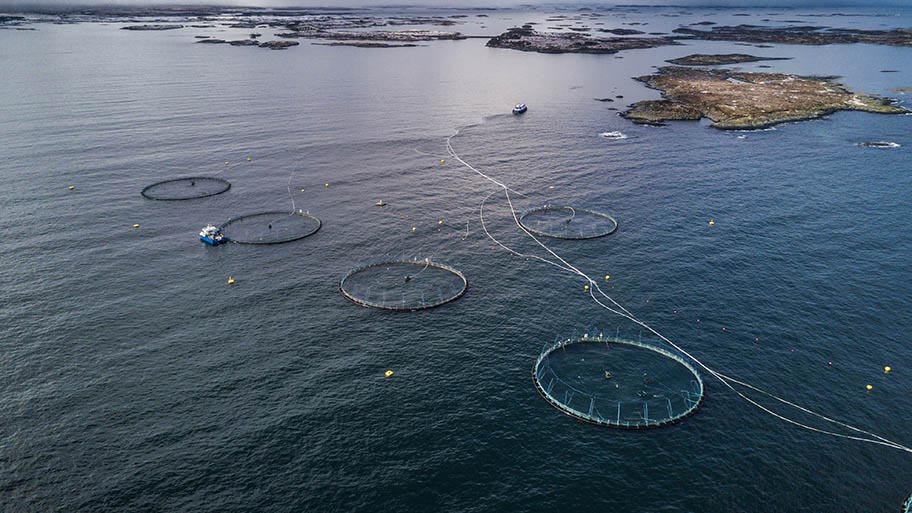 Aerial view of an aquaculture farm