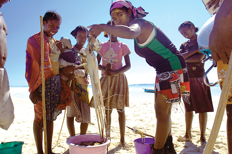 Africa’s fisheries and their way to sustainability