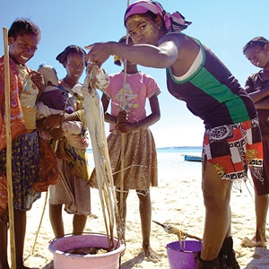Africa’s fisheries and their way to sustainability