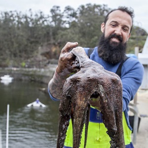 ¿Qué significa el nuevo informe de biodiversidad de la ONU para la pesca sostenible?