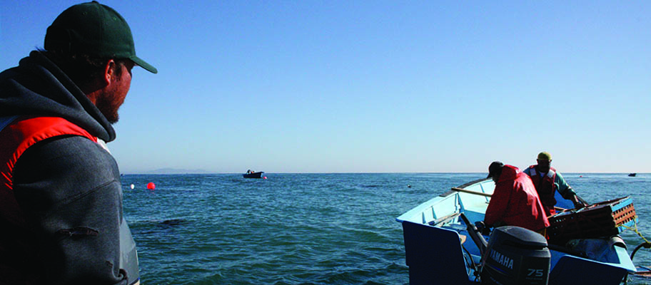 Two small boats with fishermen and another boat on horizon 