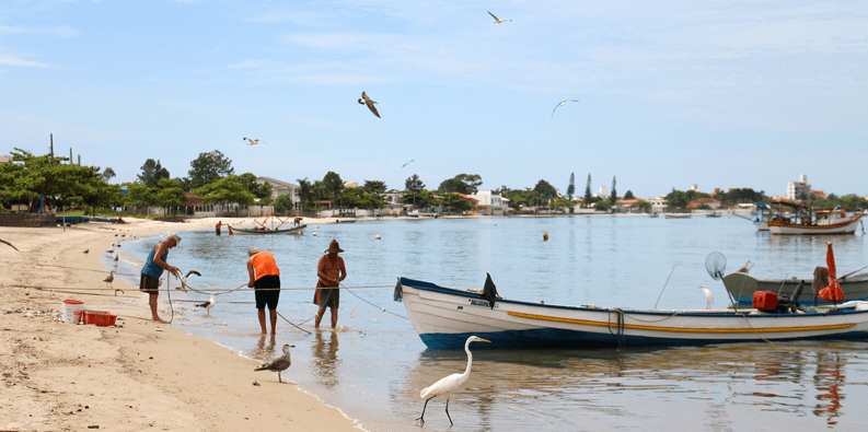 Bycatch in Brazil: Collaborating for more sustainable fishing