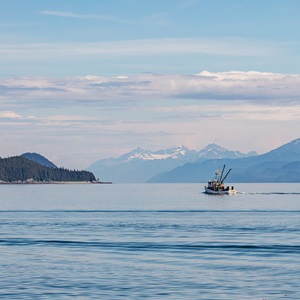 The world could eat more fish if we try to catch less