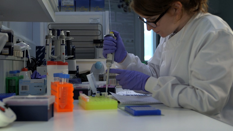 A scientist measuring out liquid in smaller test tubes.