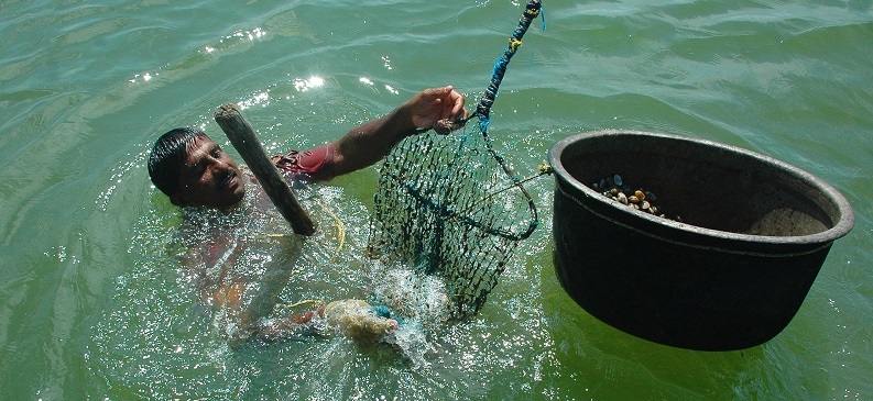 A person swimming in the ocean with a net and a bucket.