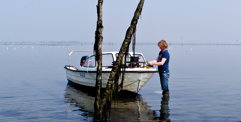 Fish Tales: The importance of sustainable seafood stories