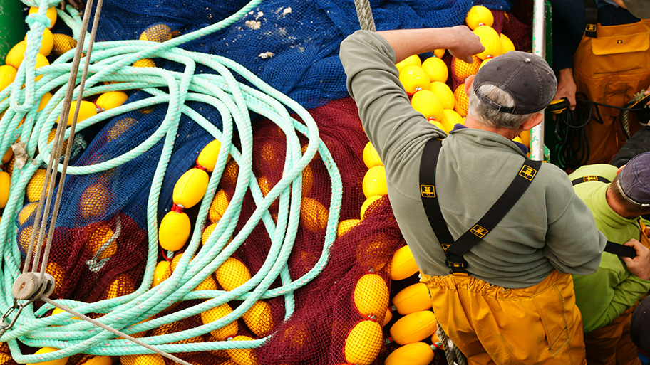 Fisher with ropes and net