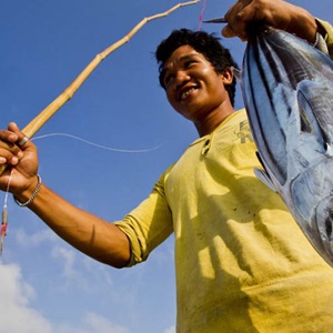 Third Indonesia tuna fishery achieves MSC certified sustainable status