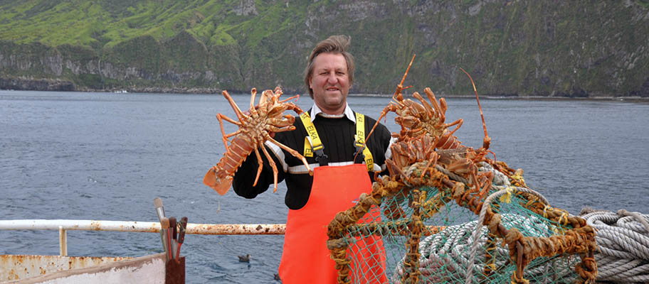 Man in orange overalls holding up large rock lobsters with island behind  