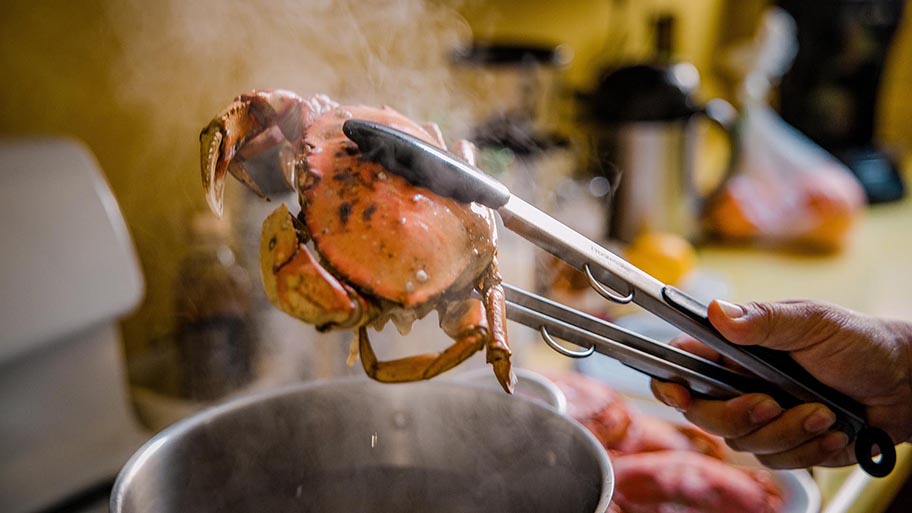 Whole crab being held in tongs above boiling pan