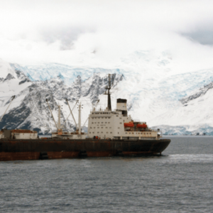 Maintaining marine life in the Antarctic region