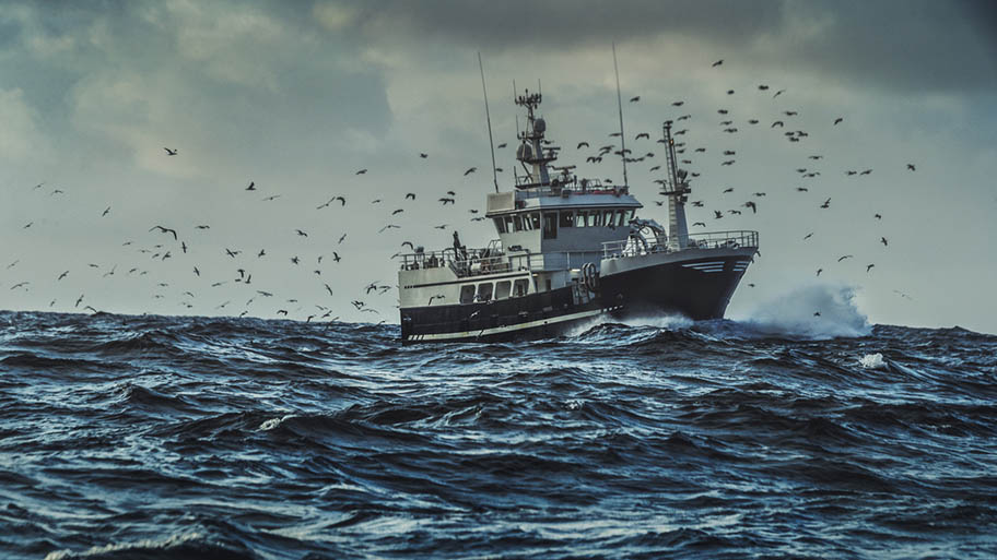 Large fishing boat on rough water surrounded by sea birds 