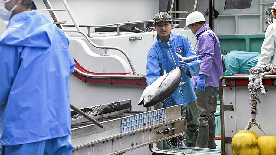 Proposed changes to MSC Fisheries Standard now available for public