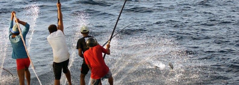 A group of people catching fish with fishing poles.