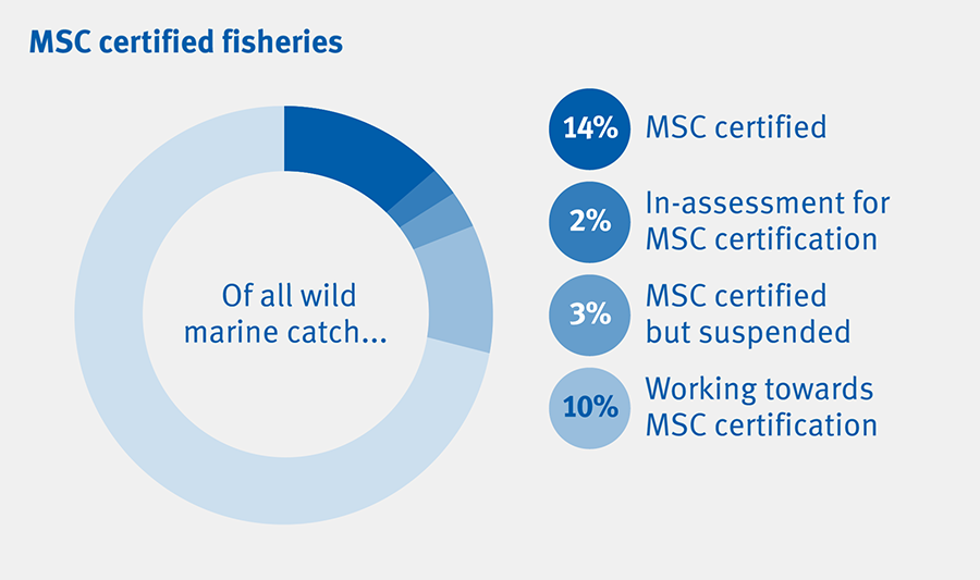 Chart showing proportion of marine wild catch that is MSC certified in 2021: 14% certified, 2% in assessment, 3% certified but suspended, 10% working towards MSC certification