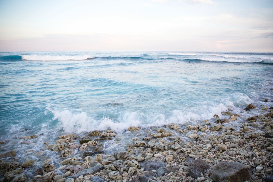 Revisions to the MSC Objections Process