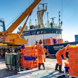 Namibisk kulmulefiskeri bliver MSC certificeret
