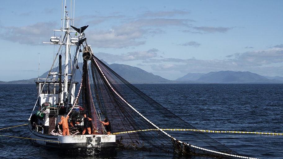 MSC:s förbättringsprogram -läs mer om hur vi bidrar till hållbar förvaltning