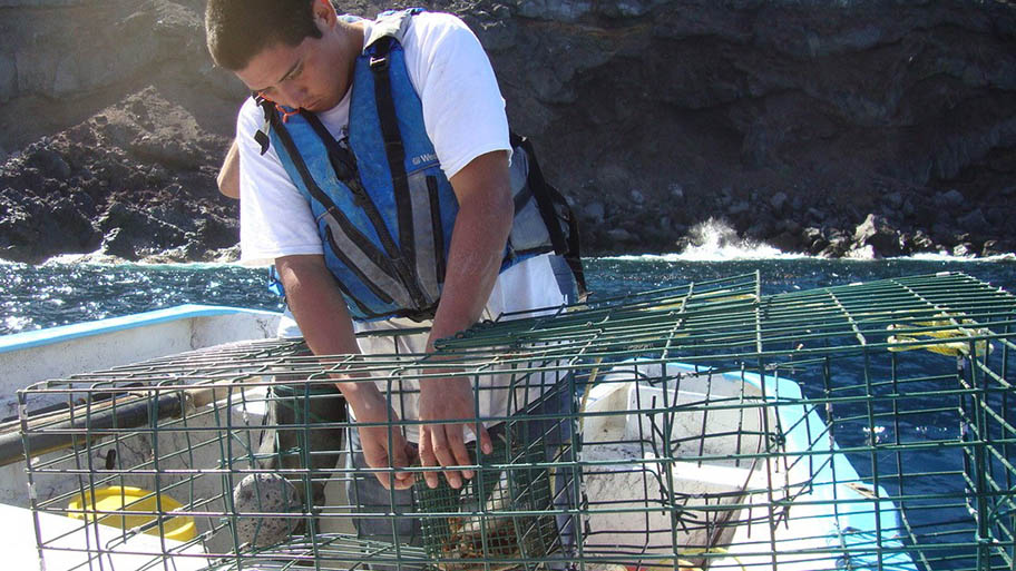 Fisherman in life jacket on small boat with hands in lobster trap