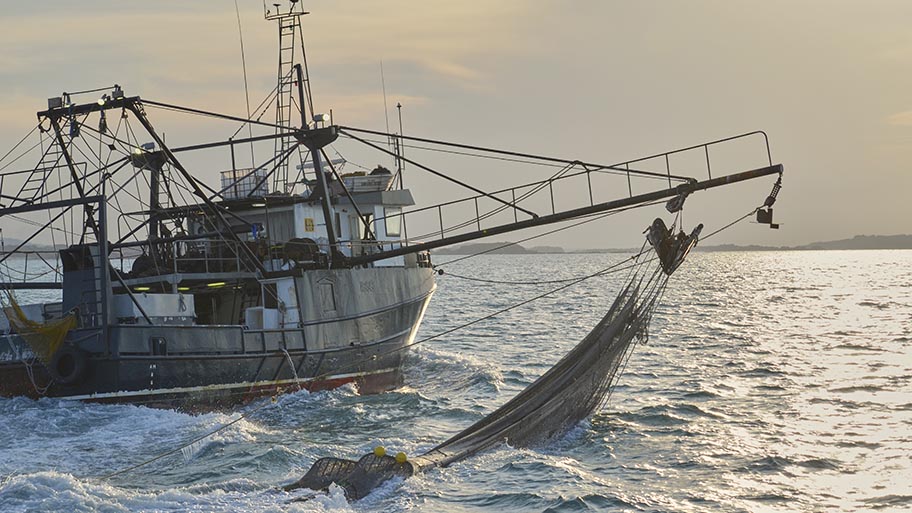 Boat with large net suspended on calm sea