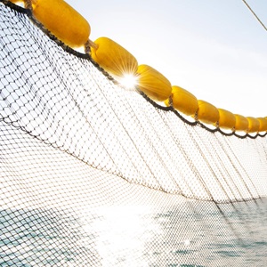 MSC Again Recognized as Global Credible Seafood Program