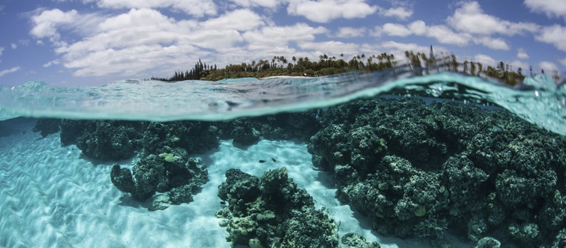 A view under clear blue water of the reefs below.