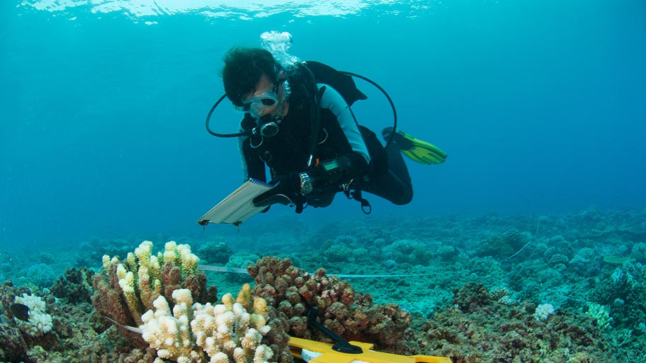 Scuba diver underwater in front of coral, holding checklist