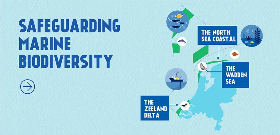  Protected areas found within the fishing grounds of Dutch MSC certified fisheries.
