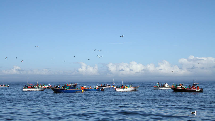 Small colourful boats on calm sea with large birds circling in blue sky