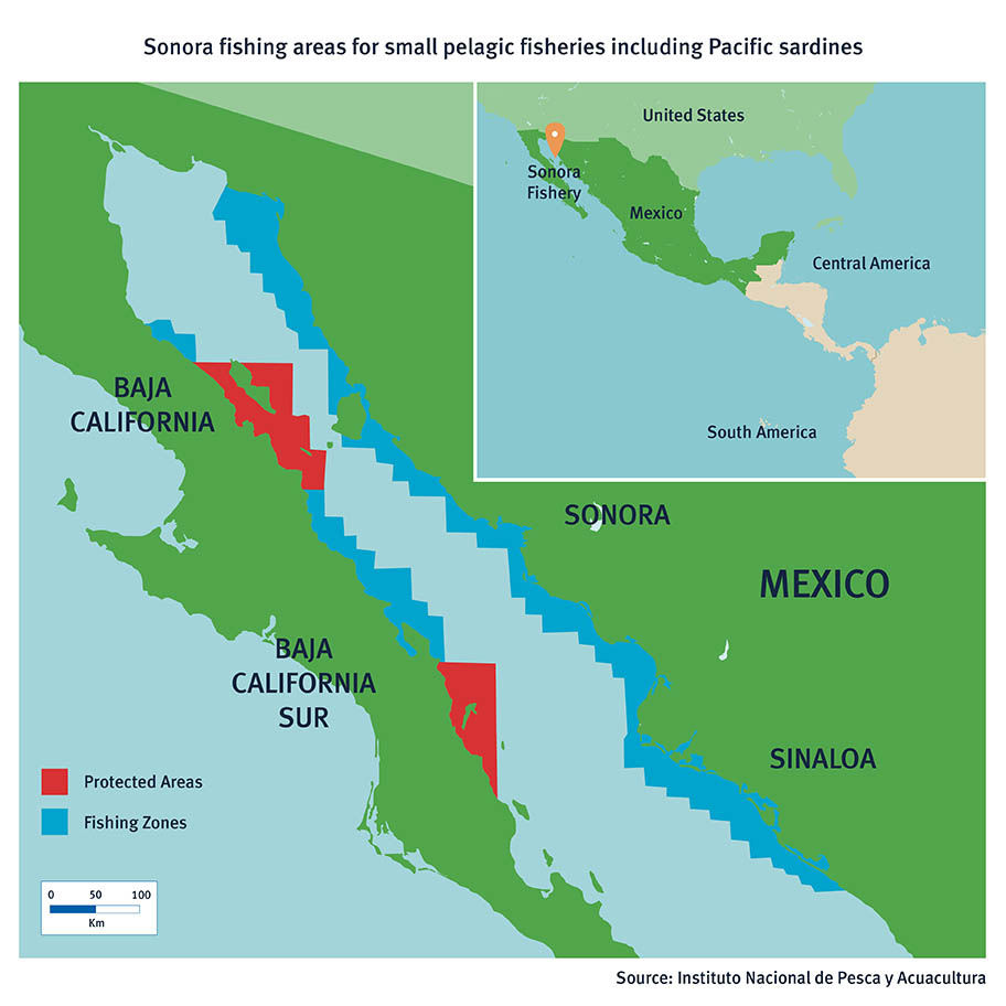 Map showing fishing areas for small pelagic fish between Sonora and Baja California in Mexico