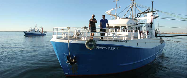 Large vs small scale fishing – which is more sustainable?