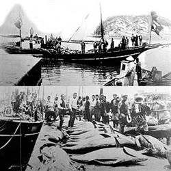 2 black and white photos of a boat by a jetty and large tuna fish landed on dock.