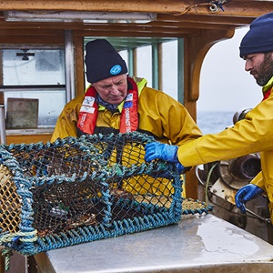 MSC Fisheries Standard version 3.0 comes into effect