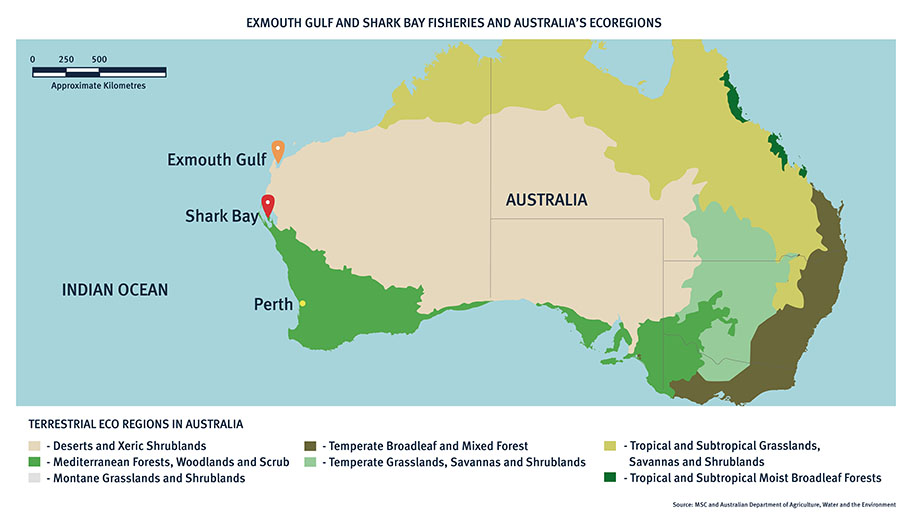 Map of Australia showing Exmouth Gulf and Shark Bay fisheries in Western Australia