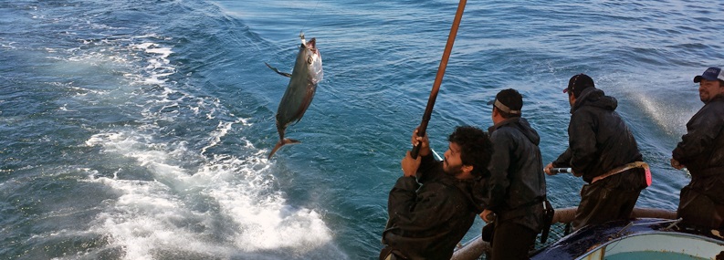 A man catching a fish with a line on a boat.