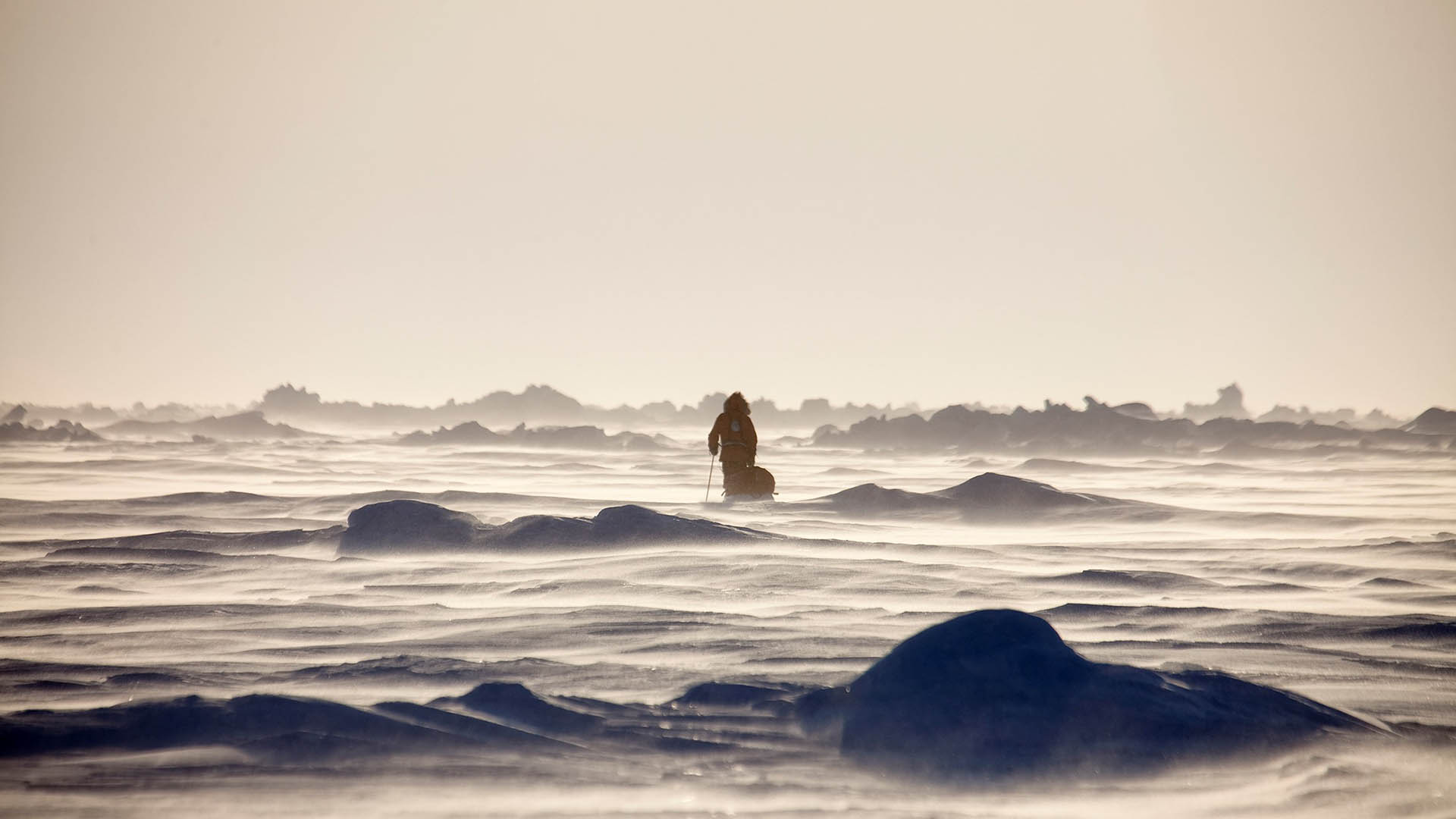 Atmospheric black metal stryvigor. фото чб дорога в лесу вертикально. Into the cold. Into the cold. Into the cold.