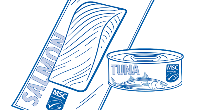 Guía de uso sello azul MSC