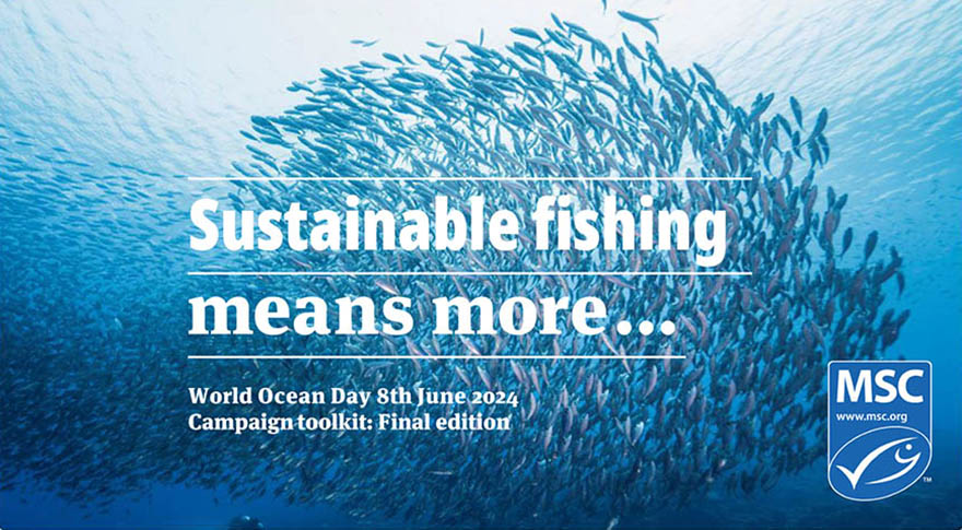 World Ocean Day 2024 toolkit