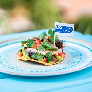 Sardine Tostada