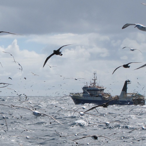 O que é a pesca sustentável?
