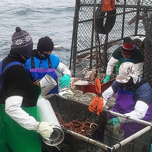 Pesquería de anguila con nasa del norte de Perú: Mejoras en prácticas pesqueras y gobernanza