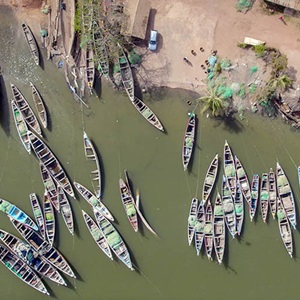 West Africa project