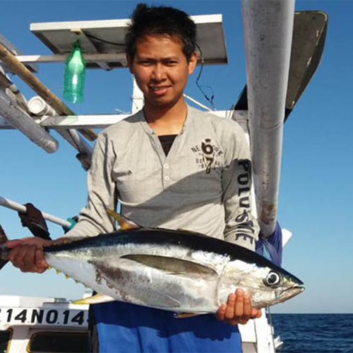 Tracking anchored FAD use in Indonesian fisheries