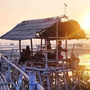 Caranguejo-nadador da Indonésia: novas estratégias de sustentabilidade