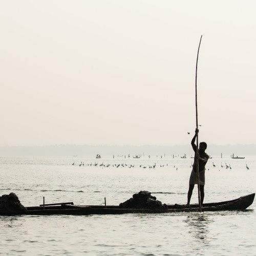 Our approach to data-limited fisheries