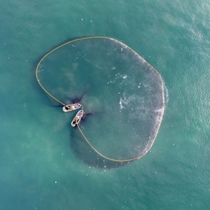 Can reduction fisheries be sustainable?