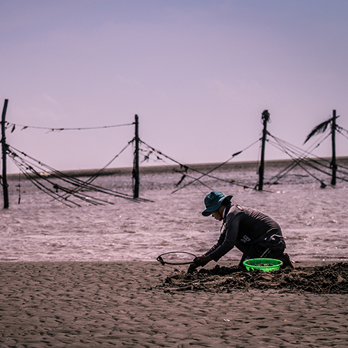 Fisherman (front right) kneeling on sand collecting clams, with an ocean view behind
