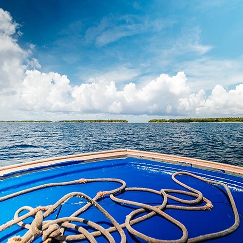 World’s most important tuna stocks at risk