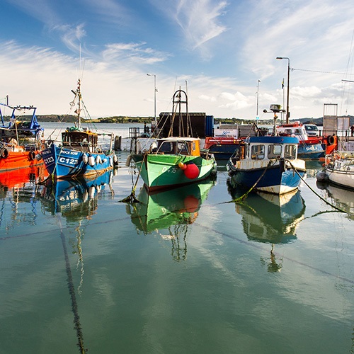 Improving fisheries management