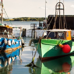 Working with small-scale fisheries